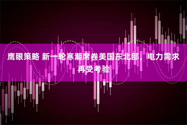 鹰眼策略 新一轮寒潮席卷美国东北部，电力需求再受考验
